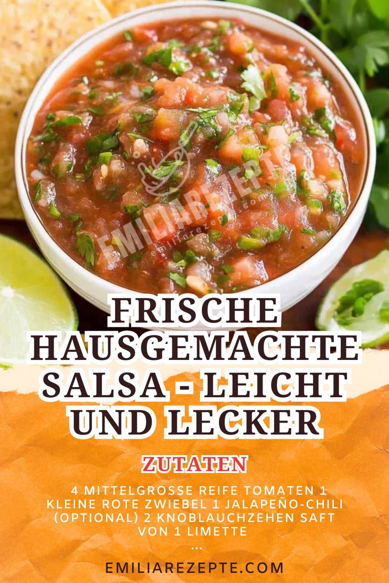 Tomaten Rezepte: Frische hausgemachte Salsa - Leicht und Lecker