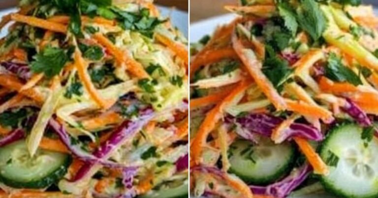 Bunte Krautsalat Bowl mit Karotte und Gurke